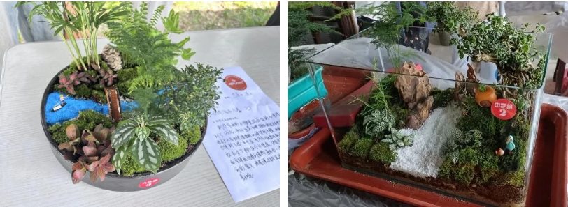 微信截图_20240607122044 微信截图_20240607122044